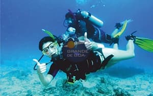 Scuba Diving in Goa